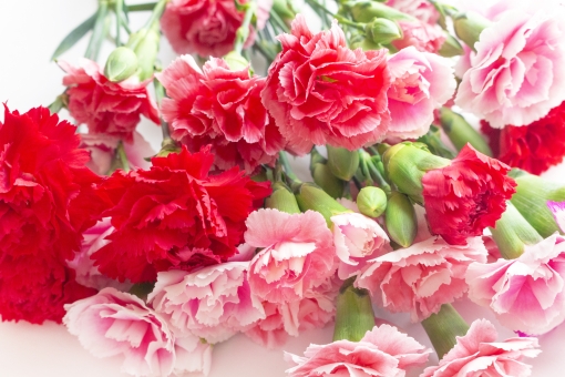 息子 彼女 別れてほしい 別れさせる